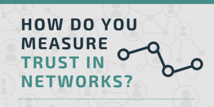 How to Measure Trust in a Network - Visible Network Labs