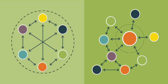 Network Governance Structures Infographic Visible Network Labs