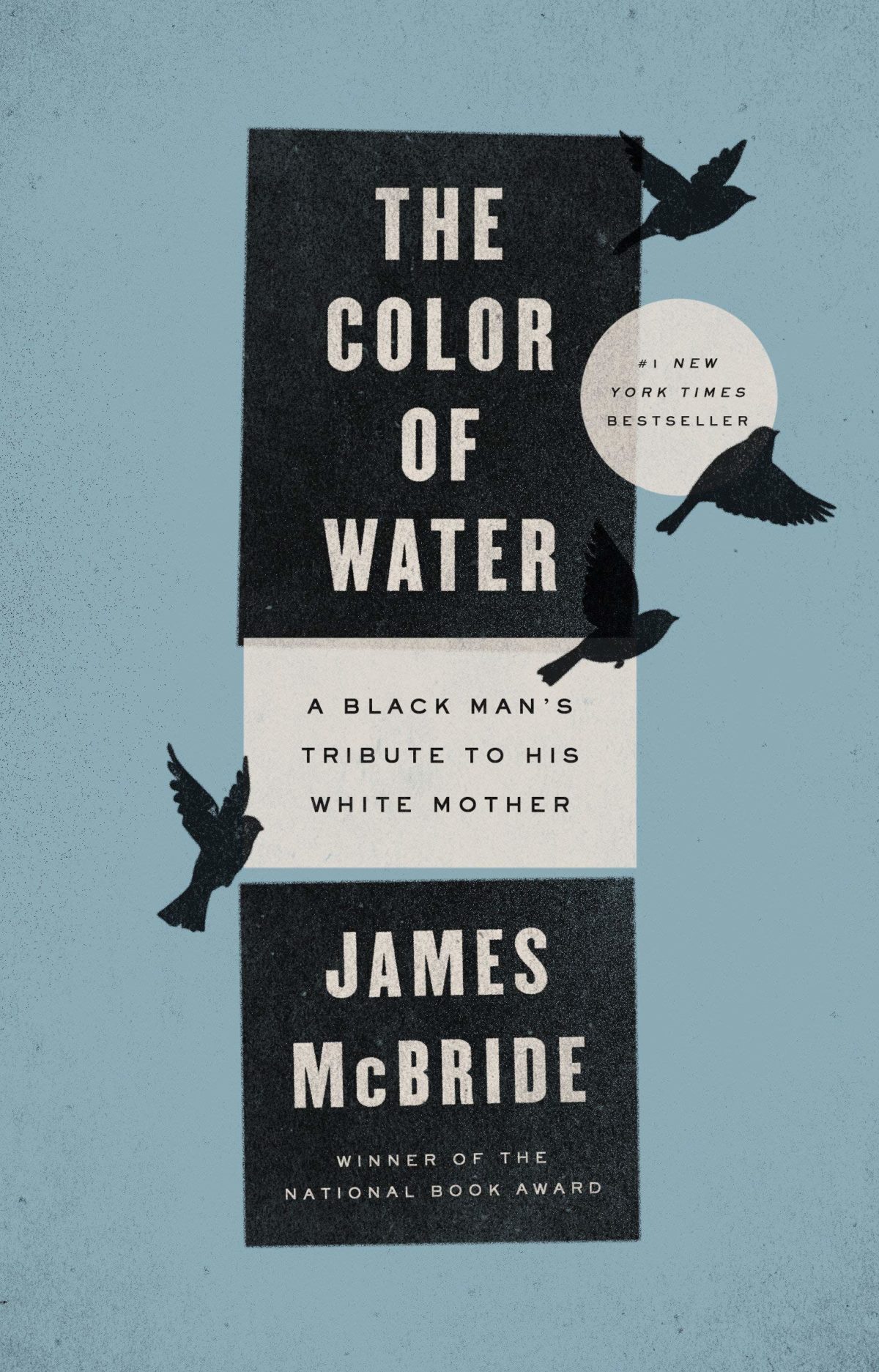 the color of water racism essay