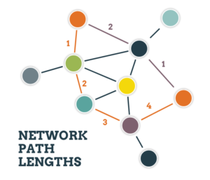 Network Strategies