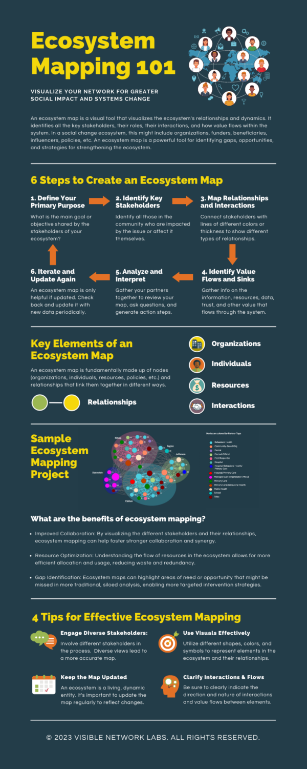 Ecosystem Mapping 101 Infographic: System Change for Social Impact ...