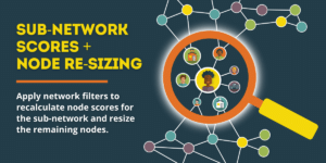 Subnetwork Scores + Node Resizing in PARTNER CPRM